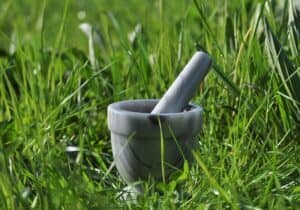 les 5 remedes naturels à avoir chez soi