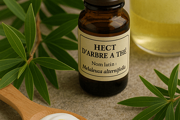 flacon d'huile essentielle de tea tree