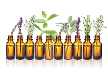 Apaiser les symptômes de la préménopause avec les hydrolats