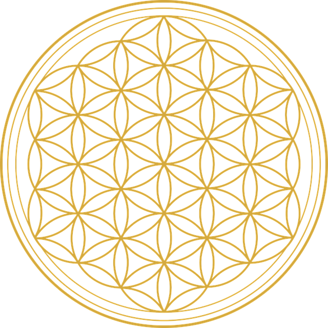 Fleur de vie ondes de formes aidant à la structuration de l'eau