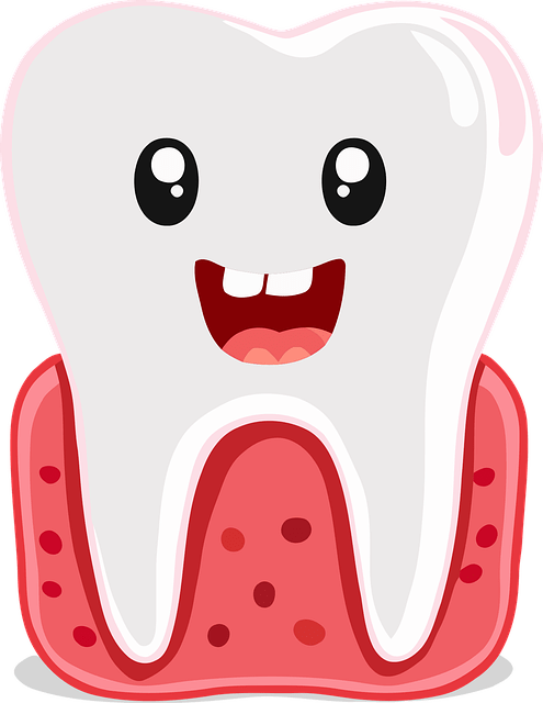 Gencive et dent en bonne santé heureuse