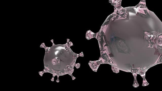 Avec la douche froide, Adieu les virus