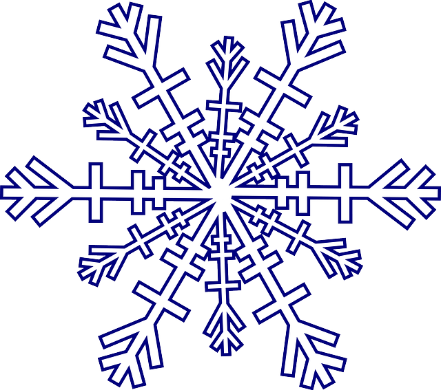 flocon de neige représentant le froid