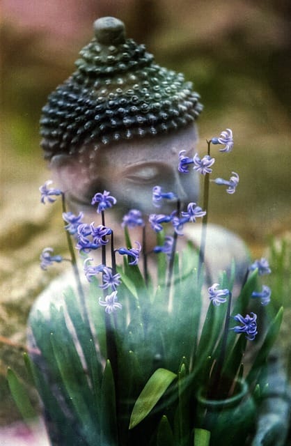 clareté mentale du bouddha grâce à l'inhalation d'huiles essentielles
