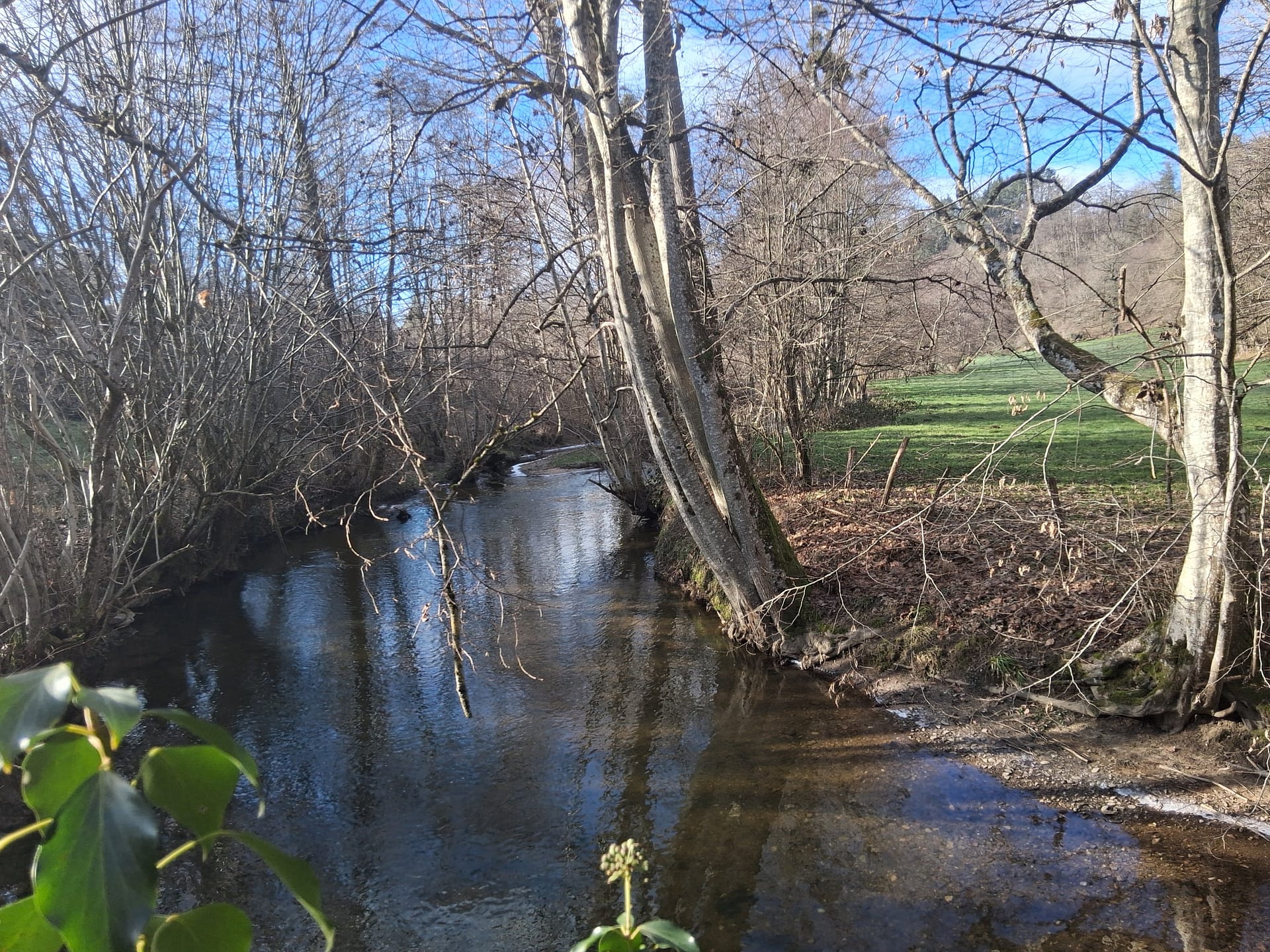 Laisser tomber les bonnes résolutions et agir, aller dans la nature, oser